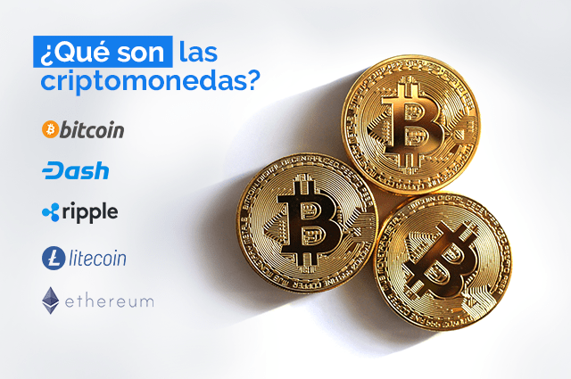 Cripto Wallet